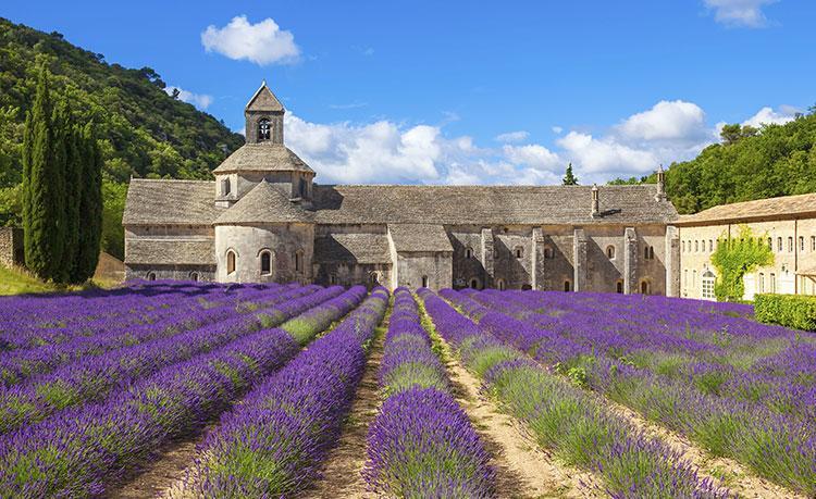 Le Mogador Chateau Du Martinet Violes Экстерьер фото